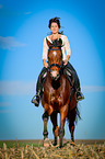 woman rides warmblood