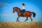 woman rides warmblood