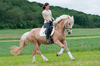 woman rides warmblood