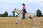woman rides warmblood