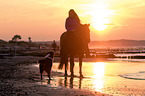 woman rides warmblood