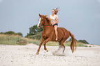 woman rides warmblood