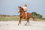 woman rides warmblood