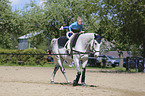 equestrian vaulting