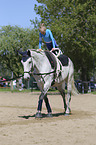 equestrian vaulting