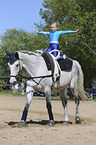 equestrian vaulting