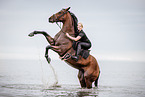 woman with warmblood