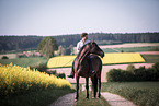 man and warmblood