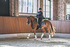 Warmblood with rider