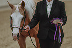 warmblood