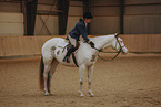warmblood