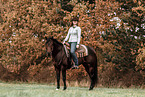 warmblood