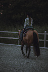 warmblood
