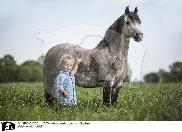 Welsh A mit Kind / Welsh A with child / JRO-01205