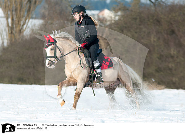 Frau reitet Welsh B / woman rides Welsh B / NS-04719