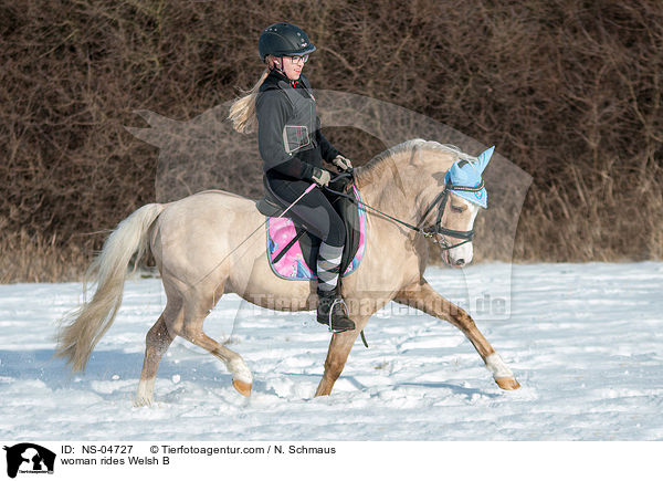 Frau reitet Welsh B / woman rides Welsh B / NS-04727