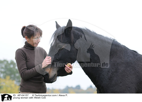 junge Frau mit Welsh Cob / young woman with Welsh Cob / AP-04157