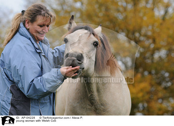 junge Frau mit Welsh Cob / young woman with Welsh Cob / AP-04228
