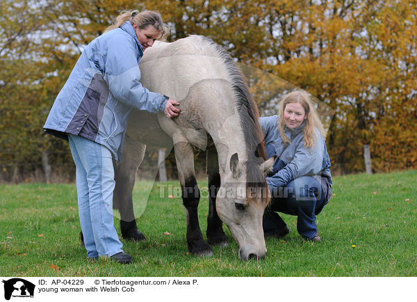junge Frau mit Welsh Cob / young woman with Welsh Cob / AP-04229