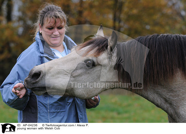 young woman with Welsh Cob / AP-04236