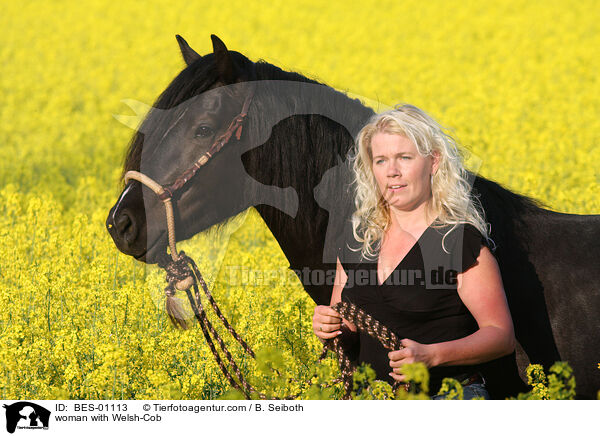 Frau mit Welsh-Cob D / woman with Welsh-Cob / BES-01113