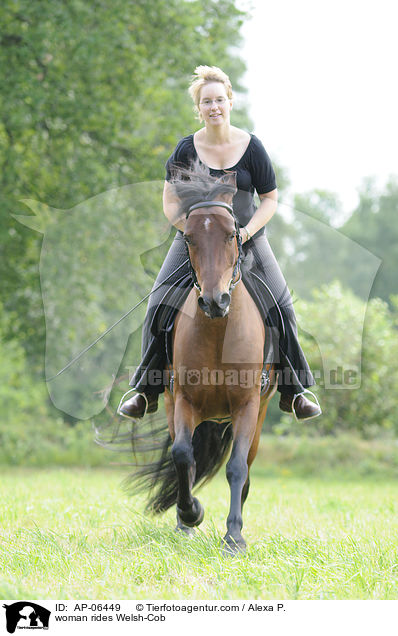 woman rides Welsh-Cob / AP-06449