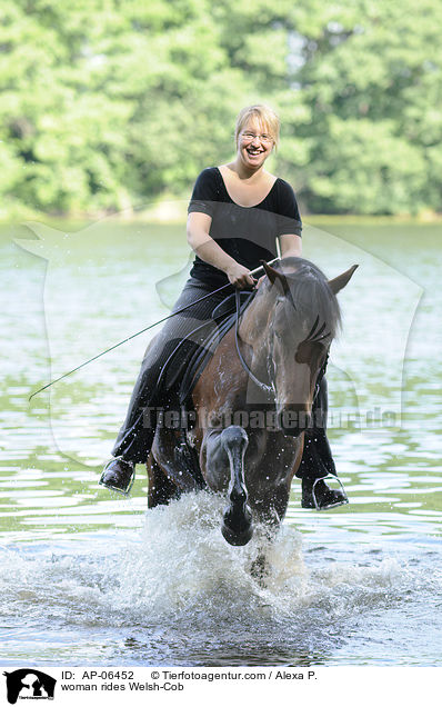 Frau reitet Welsh-Cob / woman rides Welsh-Cob / AP-06452