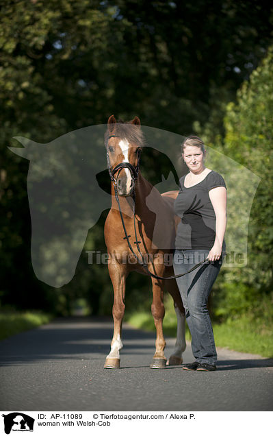 Frau mit Welsh-Cob / woman with Welsh-Cob / AP-11089