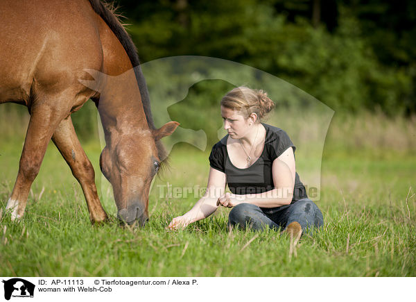 woman with Welsh-Cob / AP-11113