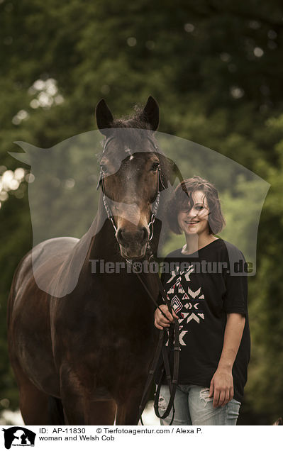 Frau und Welsh Cob / woman and Welsh Cob / AP-11830