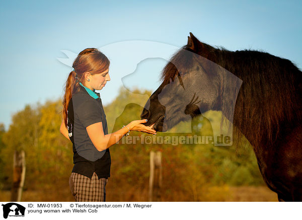 junge Frau mit Welsh Cob / young woman with Welsh Cob / MW-01953