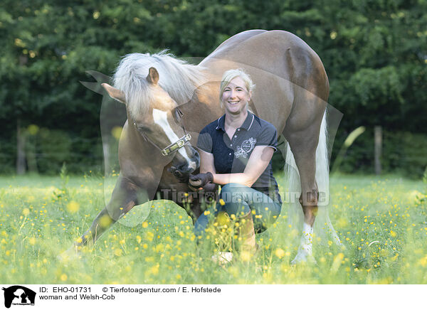 woman and Welsh-Cob / EHO-01731