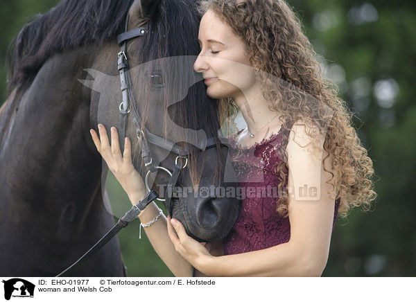 Frau und Welsh Cob / woman and Welsh Cob / EHO-01977