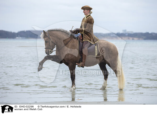 Frau und Welsh Cob / woman and Welsh Cob / EHO-02298