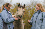 young woman with Welsh Cob