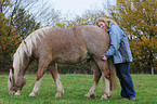 young woman with Welsh Cob