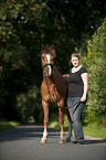 woman with Welsh-Cob