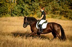 young woman with Welsh Cob