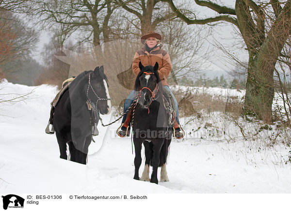 Westernreiten / riding / BES-01306