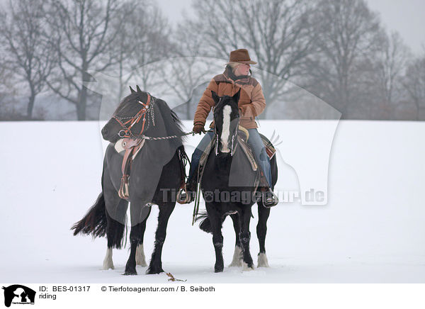 Westernreiten / riding / BES-01317