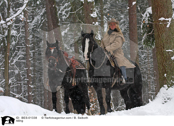 Westernreiten / riding / BES-01338