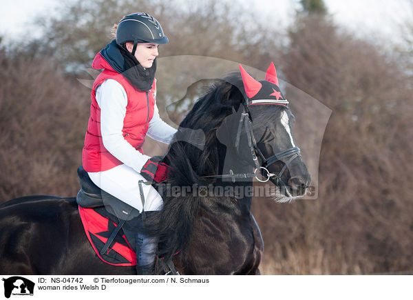 Frau reitet Welsh D / woman rides Welsh D / NS-04742