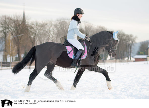 Frau reitet Welsh D / woman rides Welsh D / NS-04750