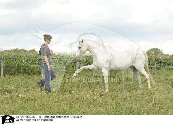 Frau mit Welsh-Partbred / woman with Welsh-Partbred / AP-09225