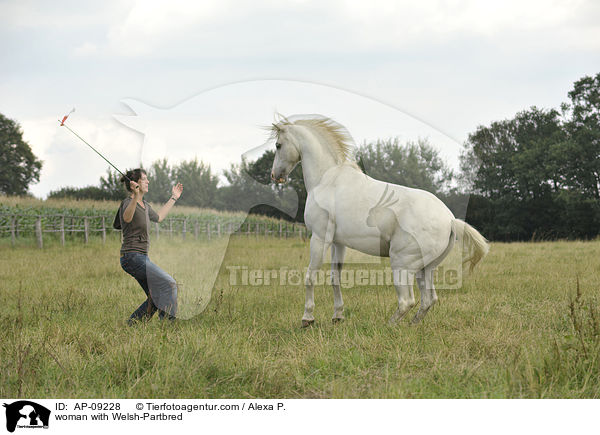 Frau mit Welsh-Partbred / woman with Welsh-Partbred / AP-09228