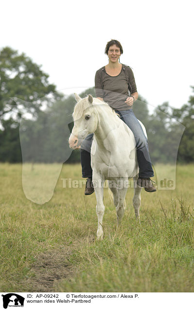 Frau reitet Welsh-Partbred / woman rides Welsh-Partbred / AP-09242