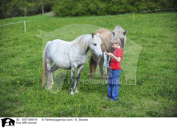 Junge und Ponys / boy with ponys / SST-06616