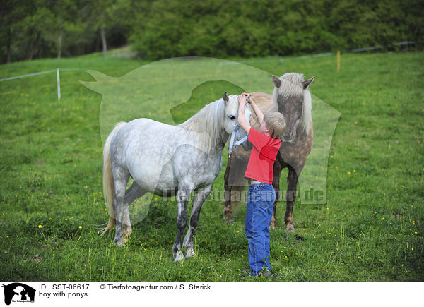 Junge und Ponys / boy with ponys / SST-06617