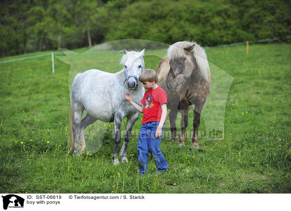 Junge und Ponys / boy with ponys / SST-06619