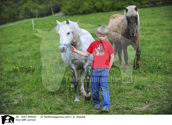 Junge und Ponys / boy with ponys / SST-06620